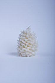 Pine cone (large size)